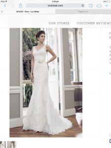 Brand New Mia Solano Gown