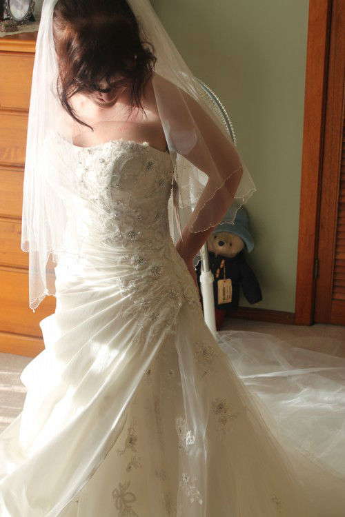 Stunning Wedding Dress Brand New