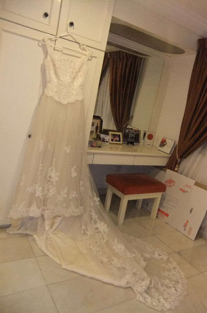 Pronovias Wedding Gown from Spain (Good As New)