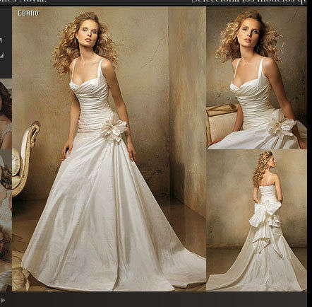 Designer Pronovias Wedding Dress