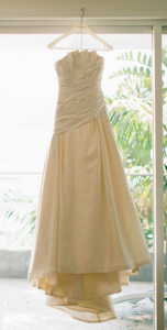 PRONOVIAS ‘Alina’ Dress (size 6)