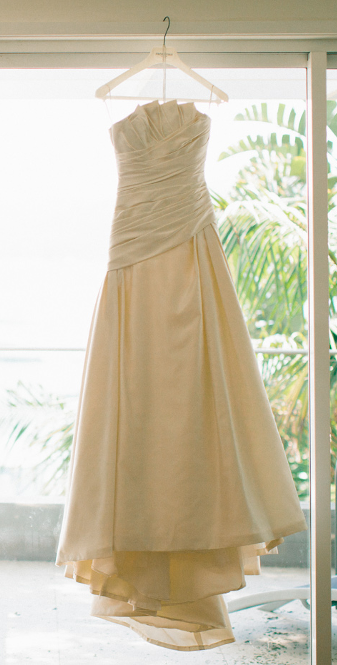 PRONOVIAS Alina Wedding Dress (size 6)