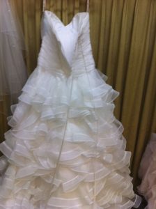 Brand New Beautiful Dion for Brides Gown