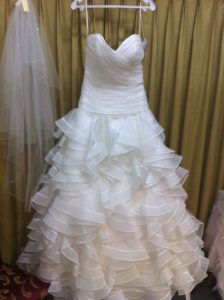 Brand New Beautiful Dion for Brides Gown