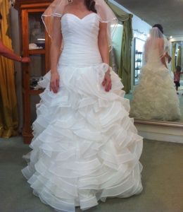 Brand New Beautiful Dion for Brides Gown