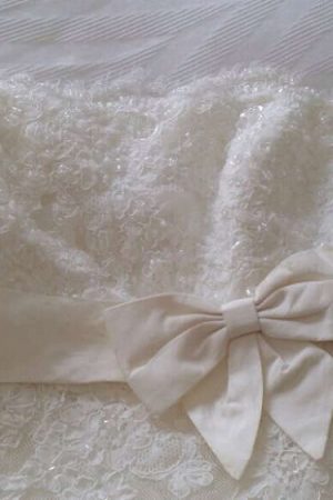 Pronovias Barcelonas Lace Bridal Gown