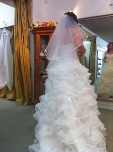 Brand New Beautiful Dion for Brides Gown