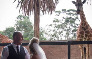 Adelaide Zoo Wedding